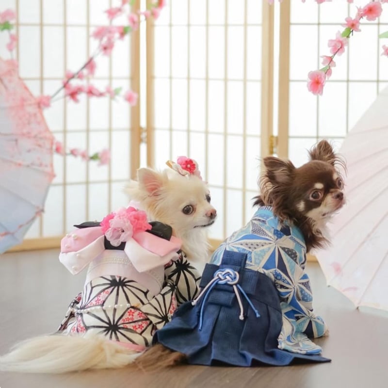 着物 犬 猫 | LEAandRIO
