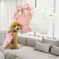 コットンレースワンピース 犬 猫