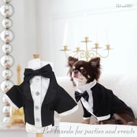 フォーマルトップス 犬 猫