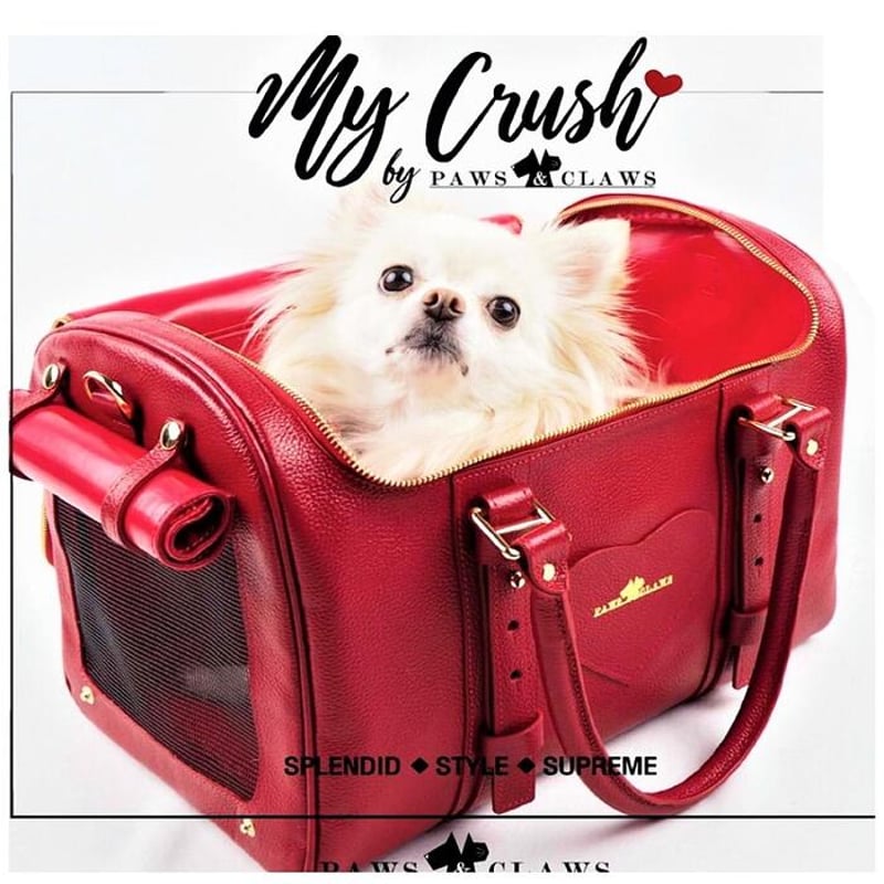 ペットキャリー 本革 パピー 小型犬 犬 猫 ペット レザー CAR8 9 10 本革キャリーバッグ 犬 猫 | LEAandRIO