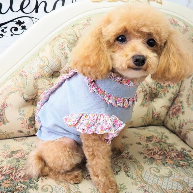 犬服 3S わんこの普段着 デニム色に小花犬服 S わんこの普段着