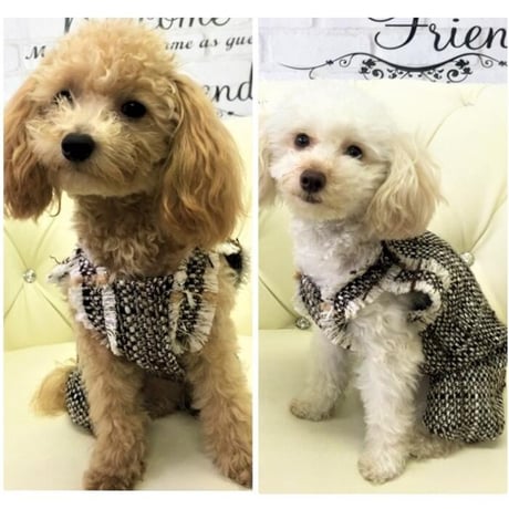 ツイードロンパース 犬 猫
