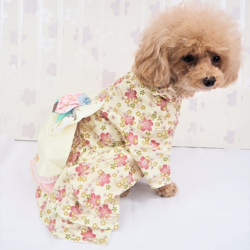 着物風ワンピース 犬 猫 | LEAandRIO