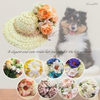 麦わら帽子 犬 猫