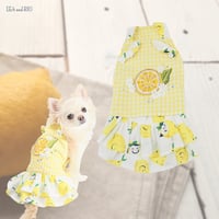 レモン柄ワンピース 犬 猫