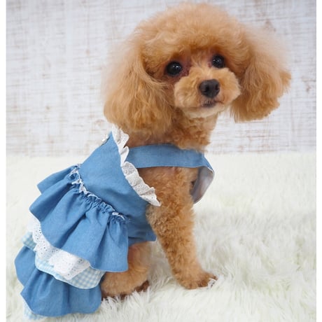 デニム調ワンピース 犬猫