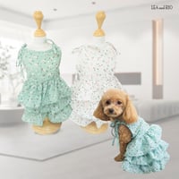 ワンピース 犬 猫