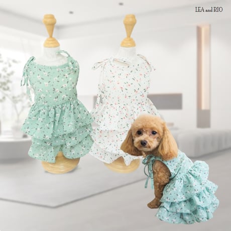 ワンピース 犬 猫