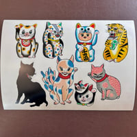 CAT POSTER