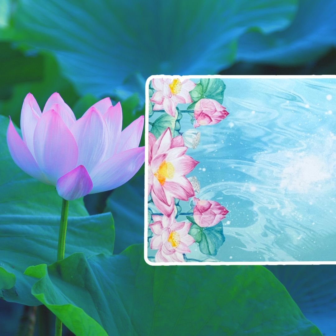 極楽の蓮・水 | 天使妖精雑貨HappyDrop タロットクロス販売