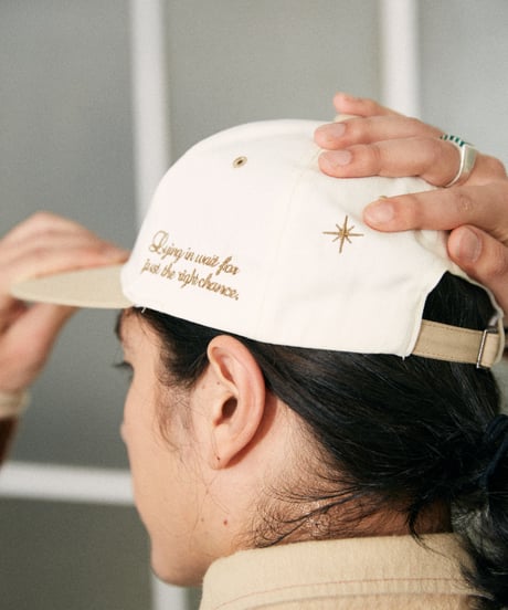 TEAM HAT /BROWN