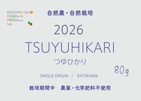 2026 つゆひかり@清川村　 レターパックライト/1〜３個注文の方