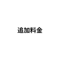追加料金