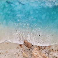 サメとの「海洋瞑想」