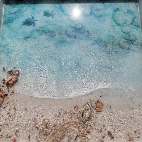 カメと一緒に「海洋瞑想」