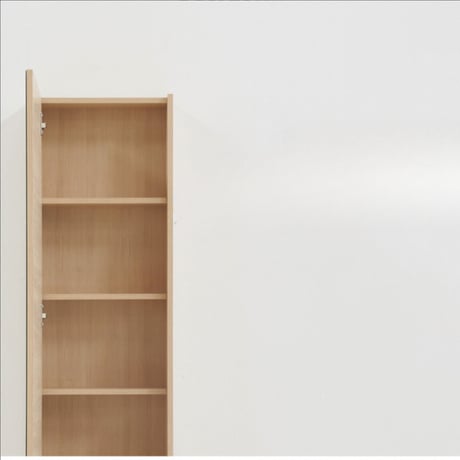 すっきり”美しい部屋”になる優秀ミラーBOX｜収納家具　CH-1079