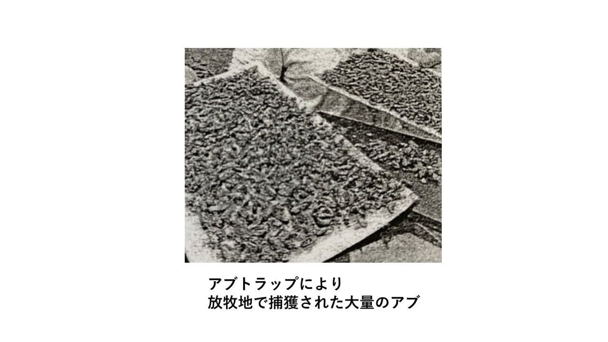 よく捕れる❗アブとり紙　100枚 無印良品 あぶらとり紙 70×100mm・100枚入 4袋 良品計画 - アスクル