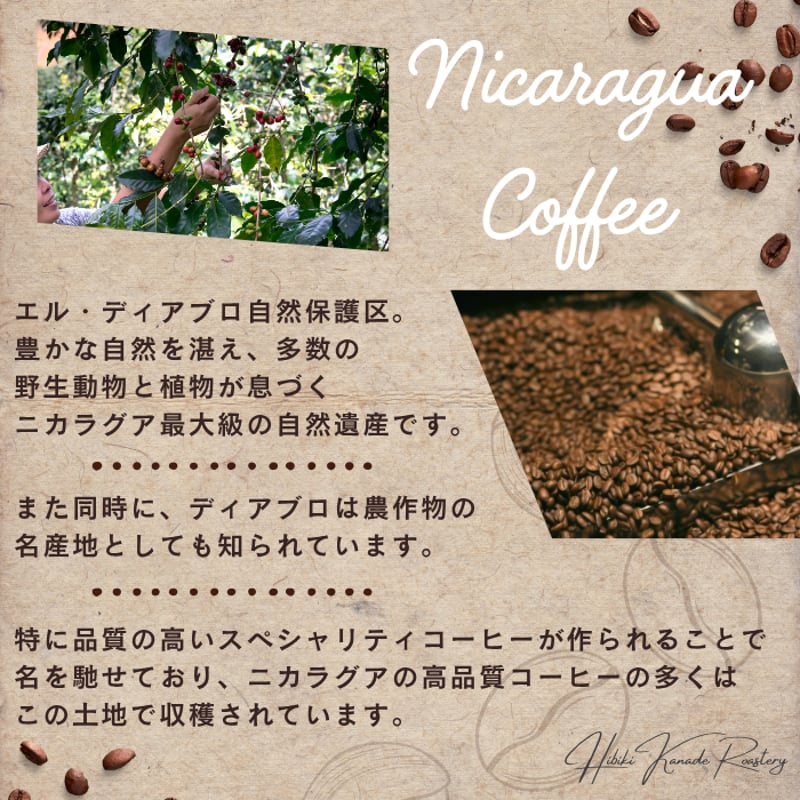 【貴族 様】専用・(コーヒー)300g×2袋≪フォロー割特価≫ フラットガゼットアロマブレスパック300g ブラック｜ニコノス