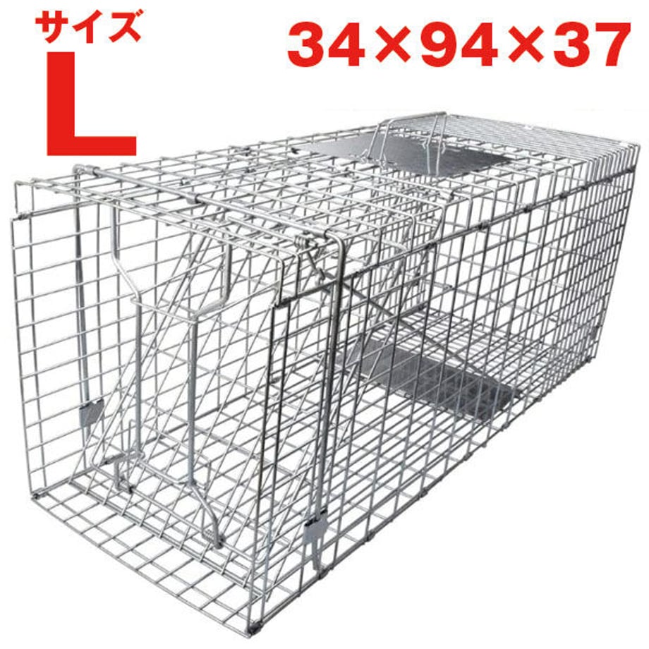 64818095d2ff8f002e211077