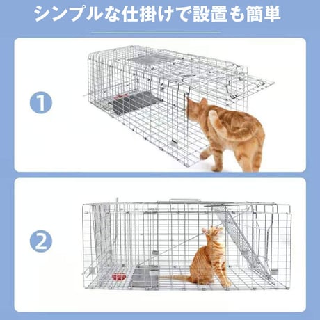 箱罠 M 箱わな Mサイズ 檻 捕獲 猫 踏み板 ハクビシン ネコ 猫 アライグマ イタチ タヌキ 野良猫 ねこ 保護 駆除 折りたたみ 仕掛け 踏板 簡単 安全 方扉 RH026 redhat