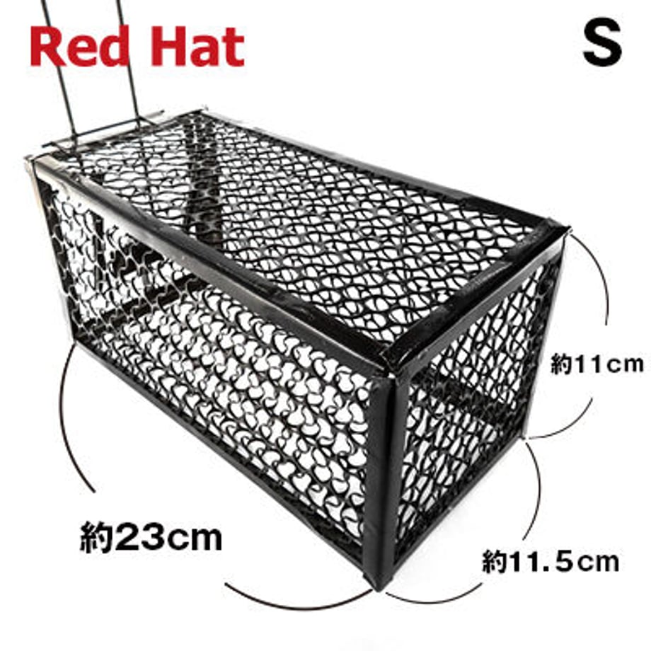 64eff816418fdf002c93f3b5