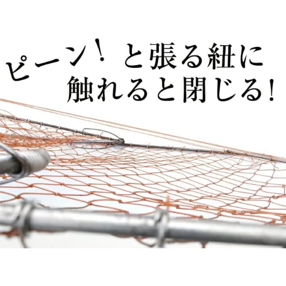 663335ea77bc6603aa7832ee