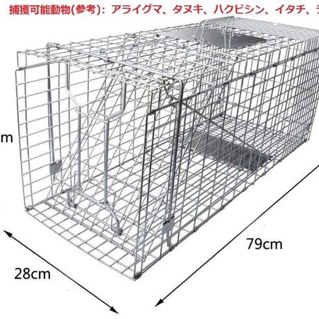 箱罠 M 箱わな Mサイズ 檻 捕獲 猫 踏み板 ハクビシン ネコ 猫 アライグマ イタチ タヌキ 野良猫 ねこ 保護 駆除 折りたたみ 仕掛け 踏板 簡単 安全 方扉 RH026 redhat
