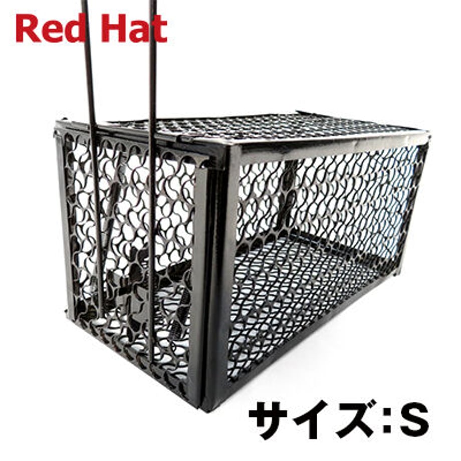 64eff816418fdf002c93f3b5