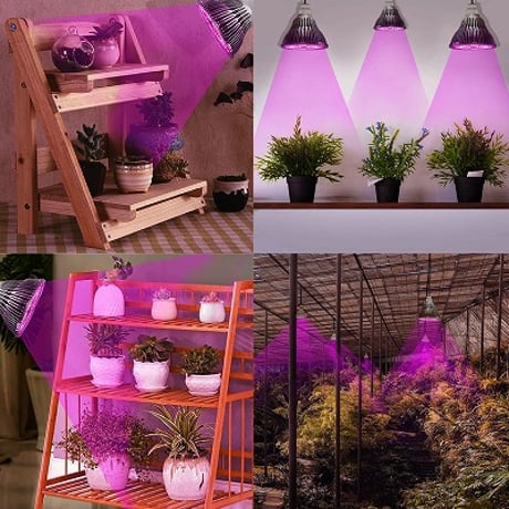 【2024最新版】 植物育成ライト LED 150W相当 植物育成用ランプ フルスペクトル 植物ライト 200個LEDチップ E26口金  省エネz 屋内植物 長寿命50000時間HYM011