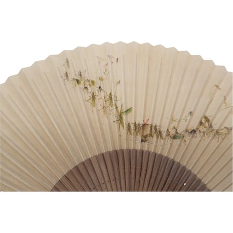 〈紳士用〉和紙扇子 虫行列図柄