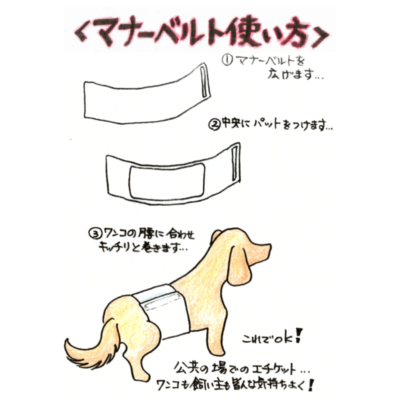 マナーベルト（マリーン柄） | JustOne