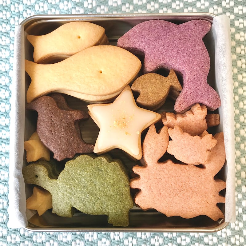 海のおともだちクッキー缶 | オリーブの木