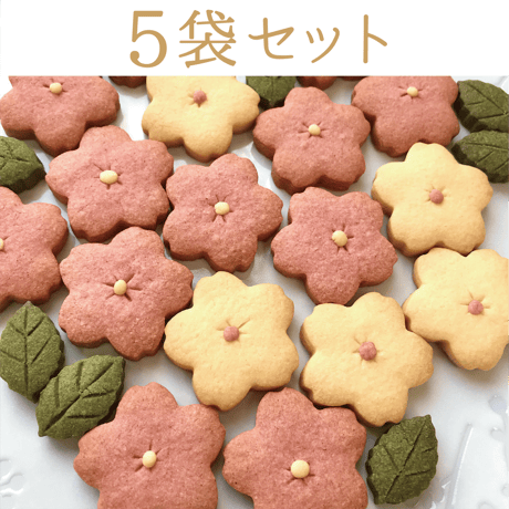 ✨ ⭐oliveの木⭐✨ 観葉植物 オリーブの木 3号 アダ シリンダー 11 | 観葉植物なら