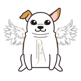 Power Jewelry A（PJ-A）