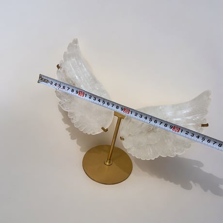 天使の羽（大）