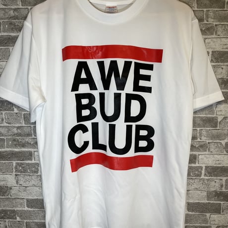 レッドラインTシャツ