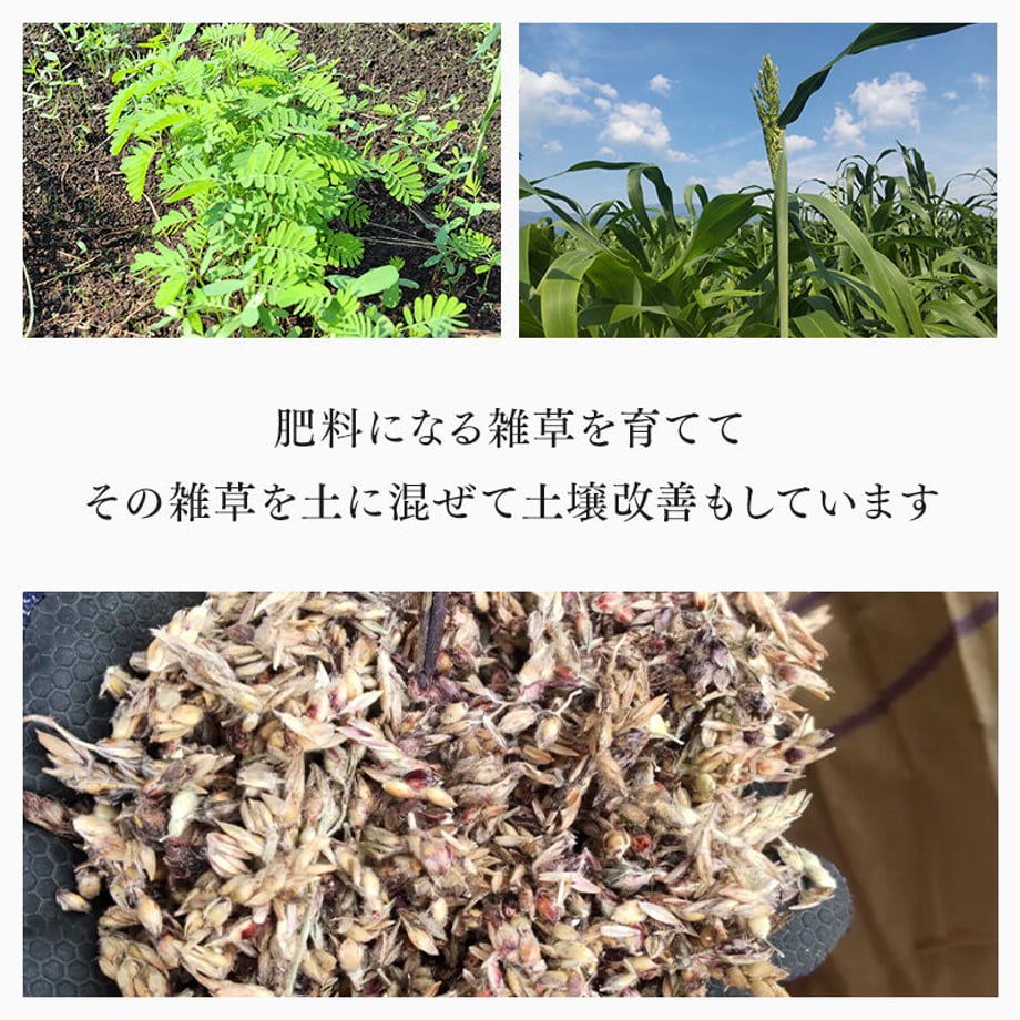 6526127f3b83cf13156ba58d