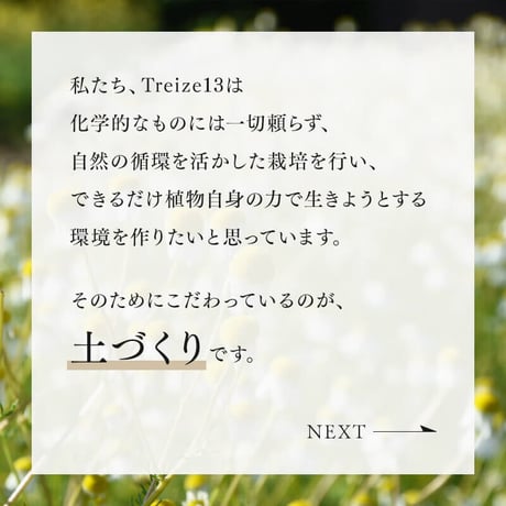 レモングラス