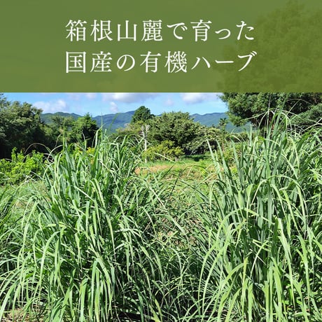レモングラス