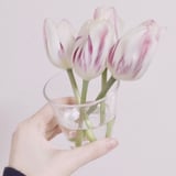 Ai Ezaki — Images & Objects