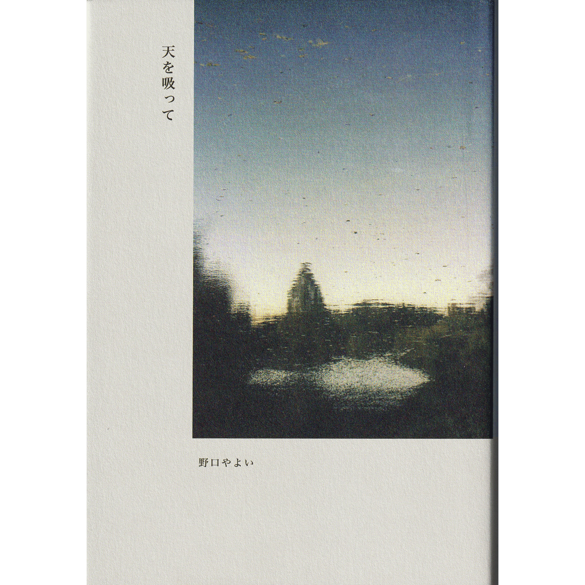 野口やよい『天を吸って』（日本詩人クラブ新人賞） | 詩集のお店