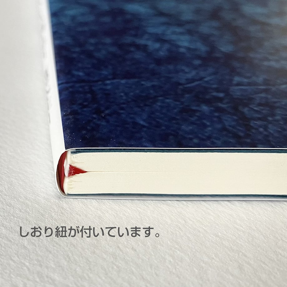 64d8c29626021603256d92f8