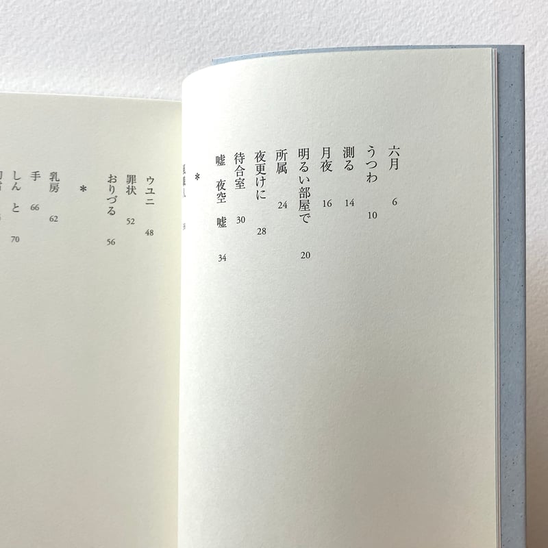 武田いずみ詩集『風職人』（横浜詩人会賞） | 詩集のお店 よこやま書店
