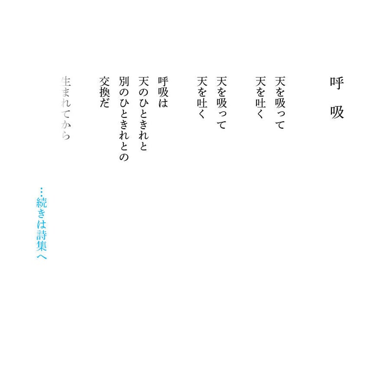 野口やよい『天を吸って』（日本詩人クラブ新人賞） | 詩集のお店