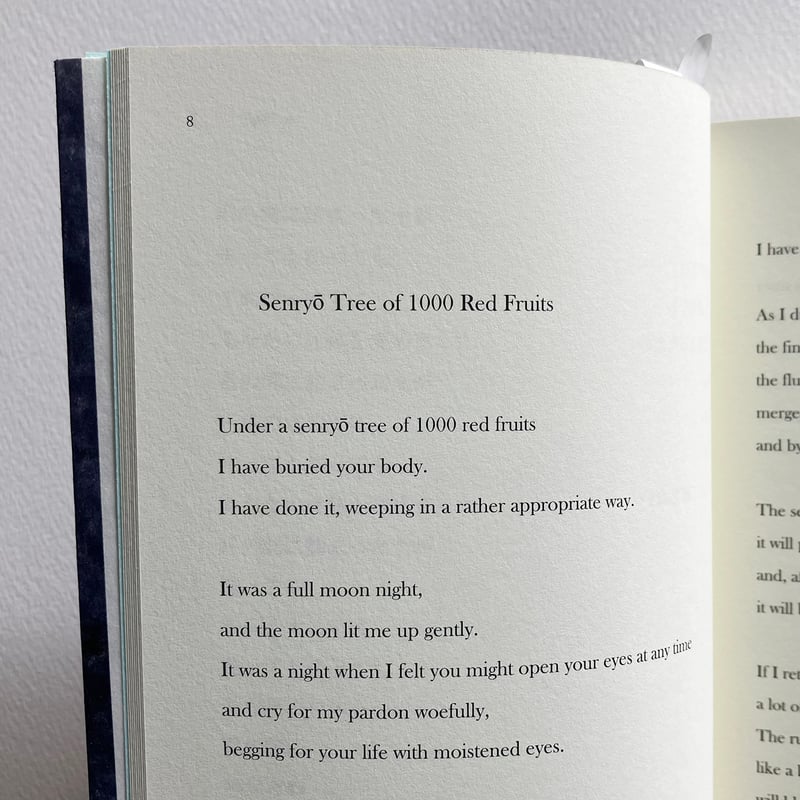 セリザワケイコ『音の蛹』 | 詩集のお店 よこやま書店