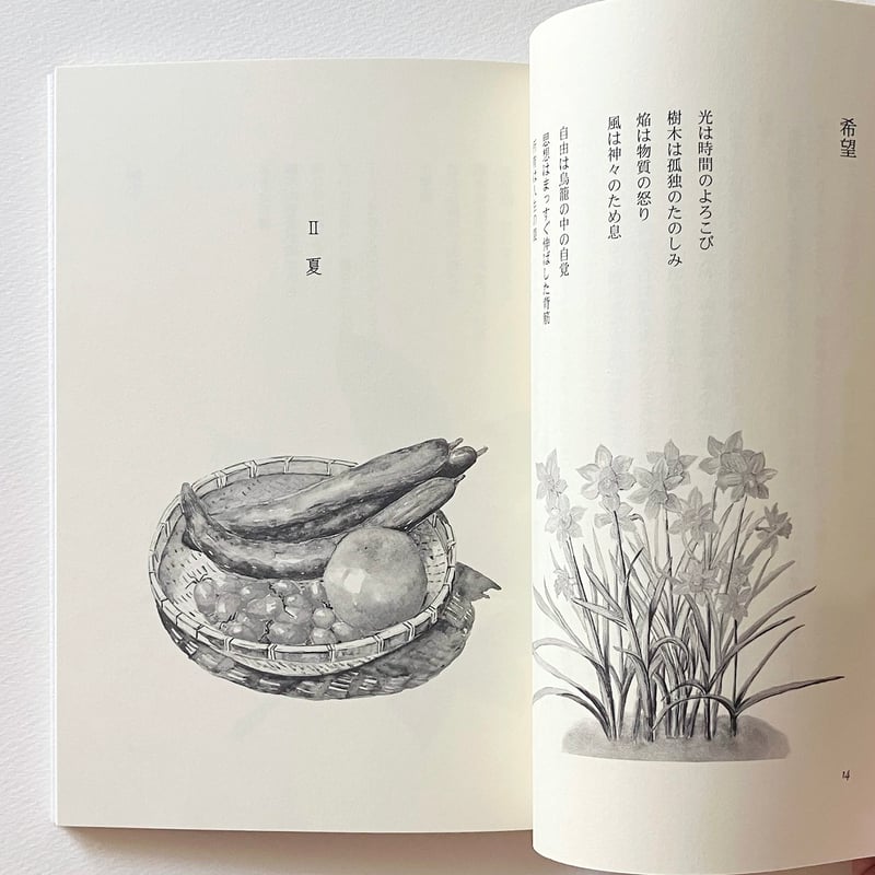 世界名詩集 セット 世界の詩集 全12巻揃 (手塚富雄・山内義雄・串田孫一=監修) / 古本