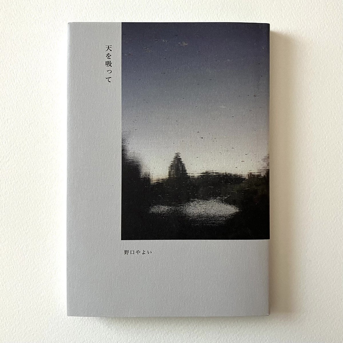 野口やよい『天を吸って』（日本詩人クラブ新人賞） | 詩集のお店