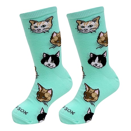CATEGORY KIDS Licensed COOL | Odd Sox-Japan