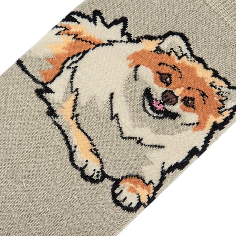 MEDIUM FEET - POMERANIAN