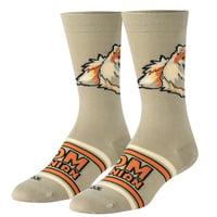 MEDIUM FEET - POMERANIAN